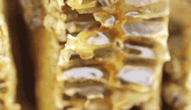 高山正宗百花蜜,百花蜜的味道和颜色