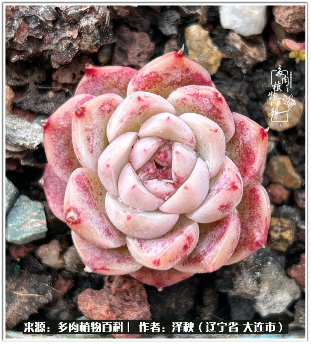 四季轮回之秋天,四季轮回之冬季