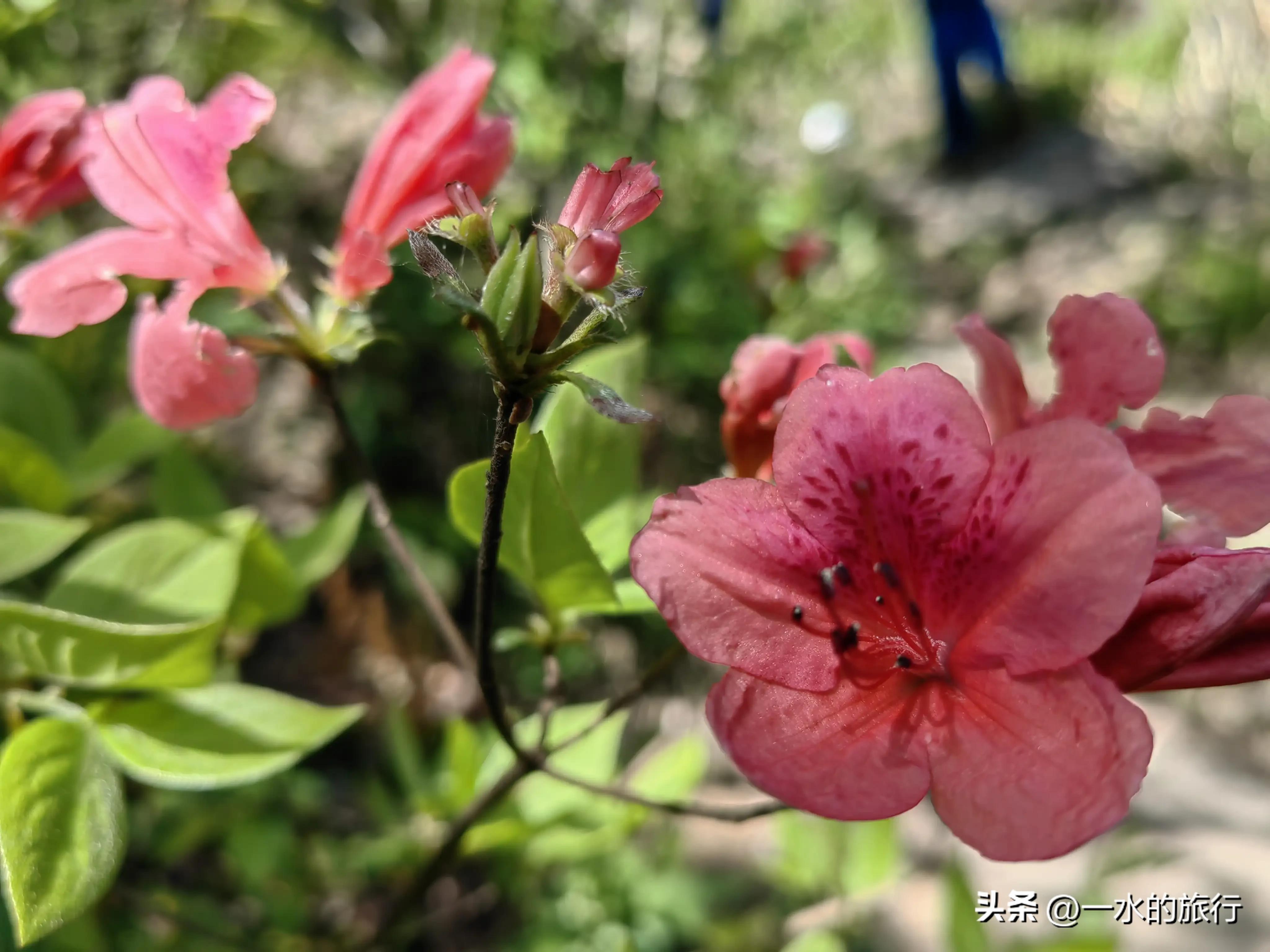 清明节吴越古道浙西天池自驾游,自驾仙境第一路