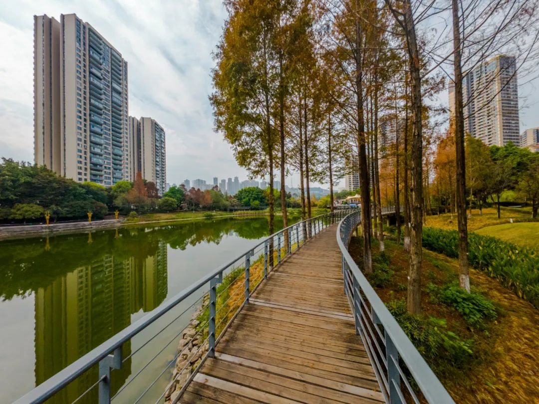 大疆运动相机action3对比gopro,运动相机大疆action3评测