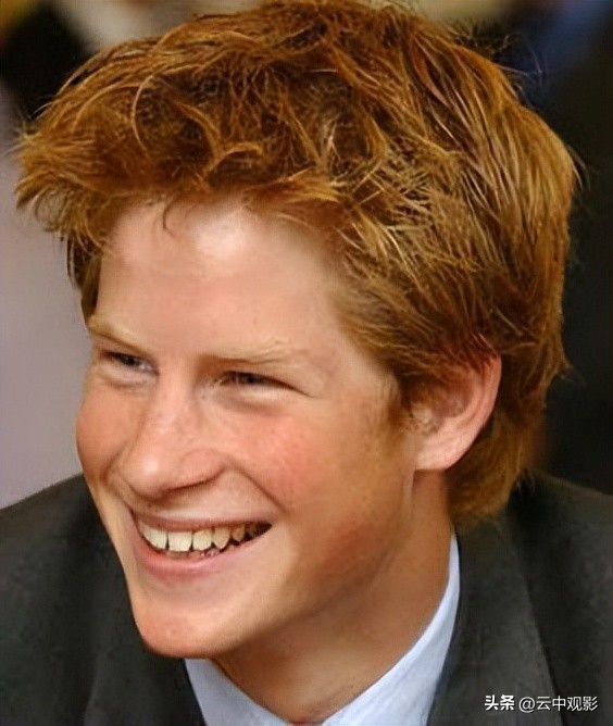 亨利与戴安娜法国,亨利王子主要内容