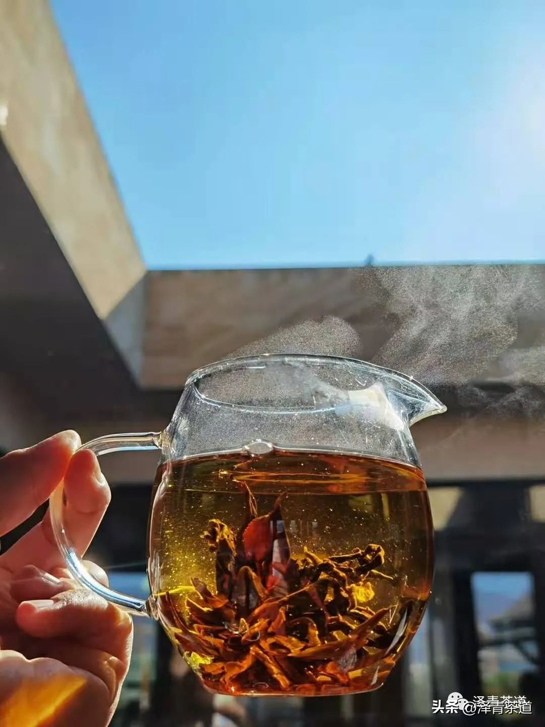 夏至蝉始鸣半夏生全文,夏至蝉始鸣半夏生什么意思