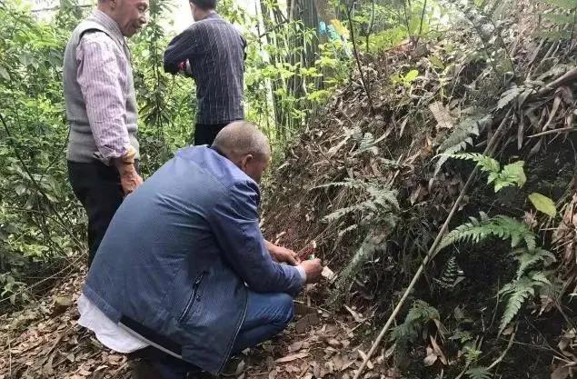 十月初一寒衣节前一天不适合搬家,十月初一寒衣节不让做什么