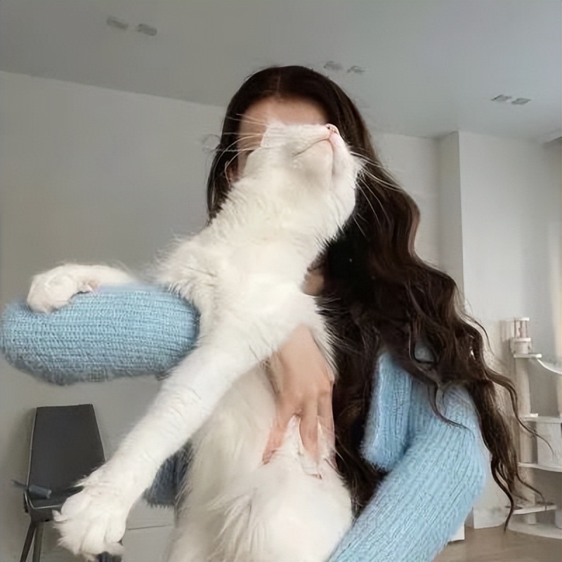 好看的精致头像女人味十足的,有艺术气息的头像唯美女