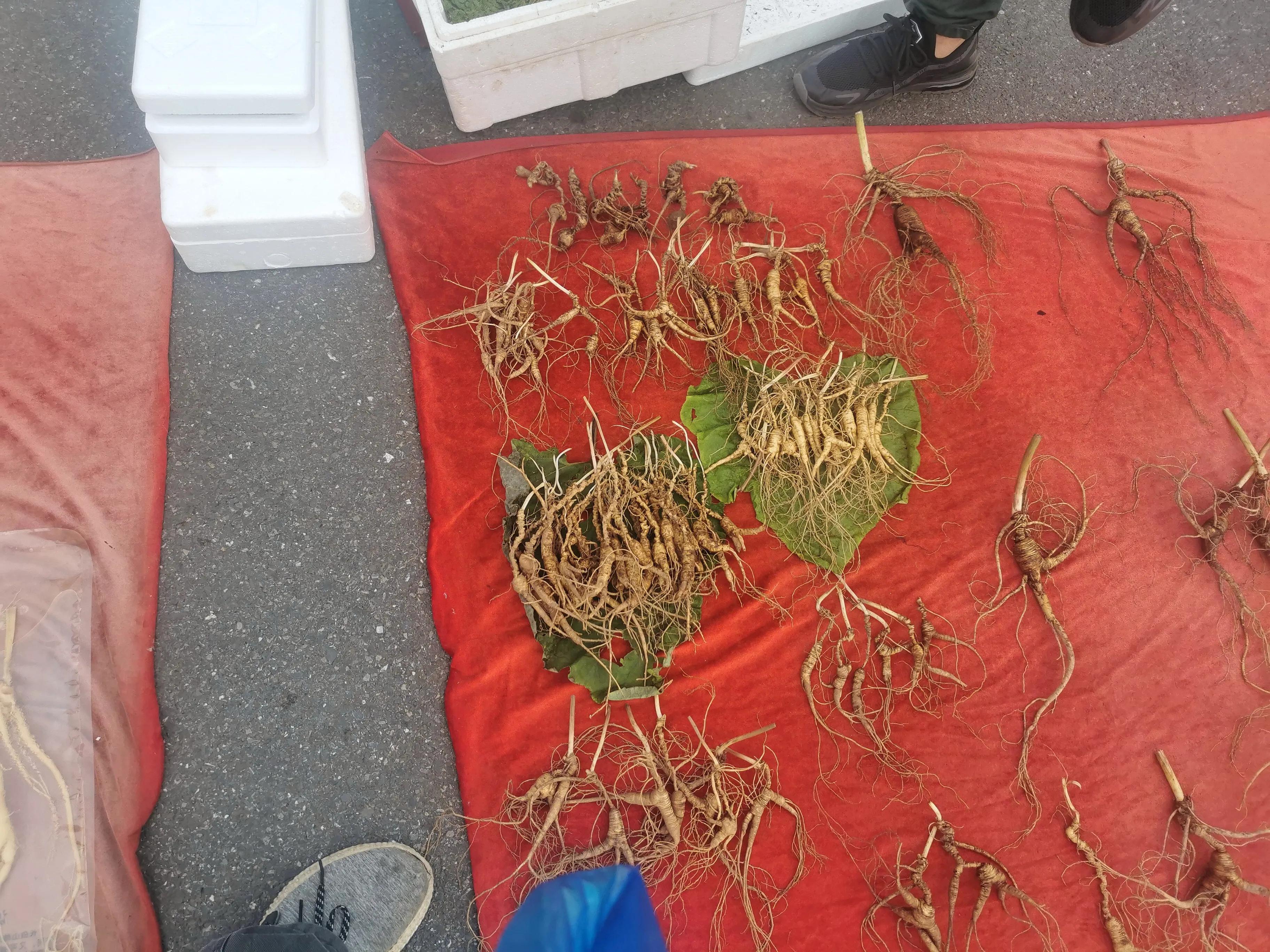 中国申请高句丽世界文化遗产遗址,高句丽历史文化遗址