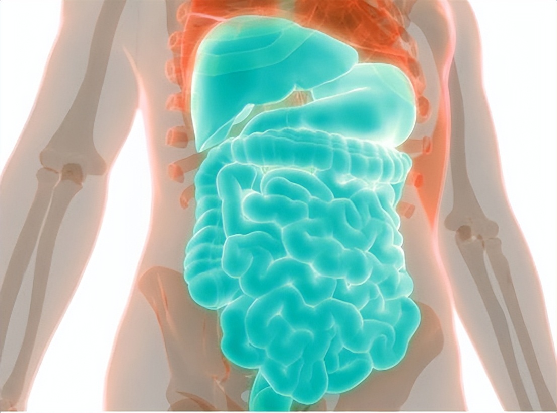 便秘如何调理脾胃,便秘如何补气