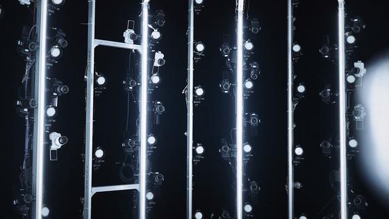 vivo人像摄影大赛,vivo人像摄影作品