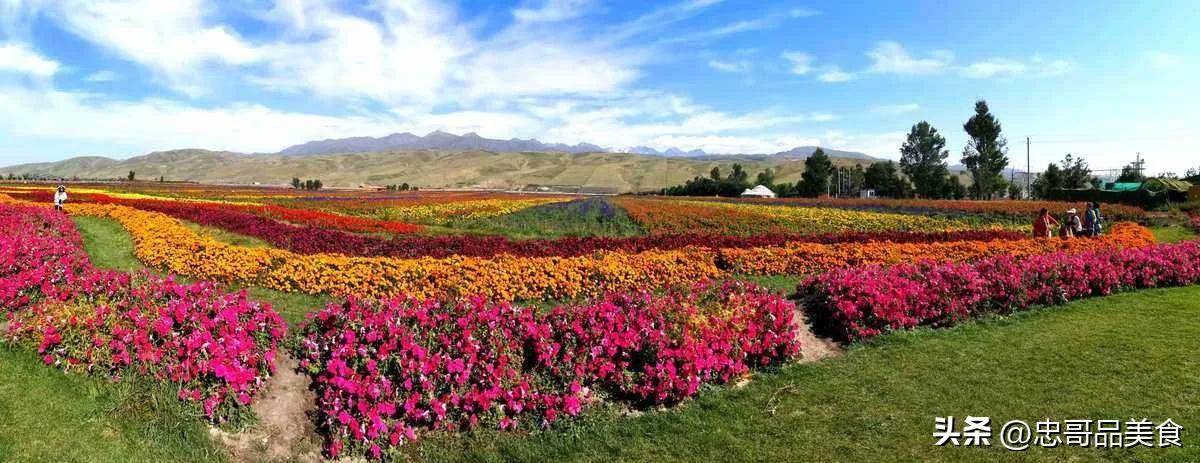 日落晚霞映照九曲十八弯,日落黄昏的九曲十八弯