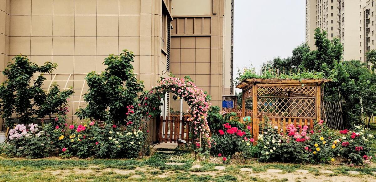 现在的一楼带花园房子怎么样,后悔没有买一楼带花园的房子