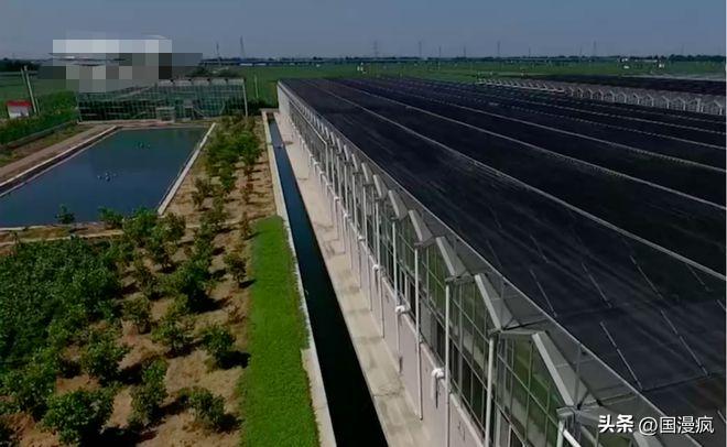 全国最大的蟑螂养殖基地在哪里,中国蟑螂养殖第一人