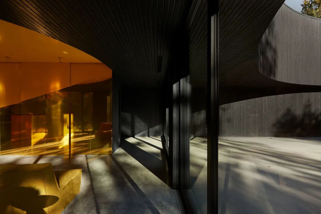 他们把家搬到了森林里，一间森林