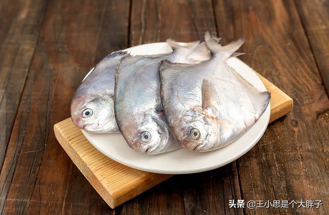 六种野生鱼不能人工养殖,市场上这6种鱼放心购买