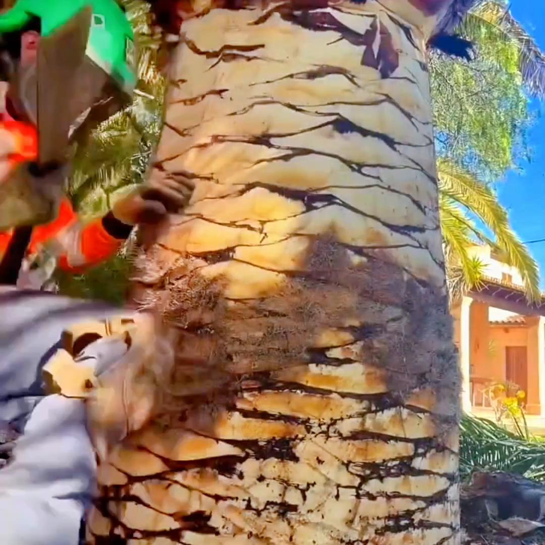 我穿成了po文女主她妈为了拯救她，我连夜让女主学了泰...