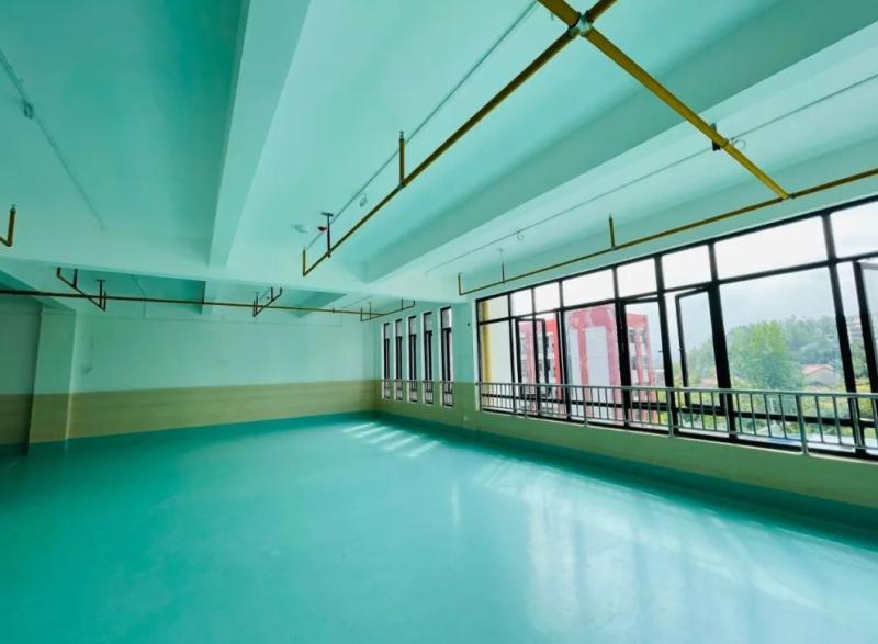 第五实验幼儿园最新视频,上师大附属第五实验幼儿园小学