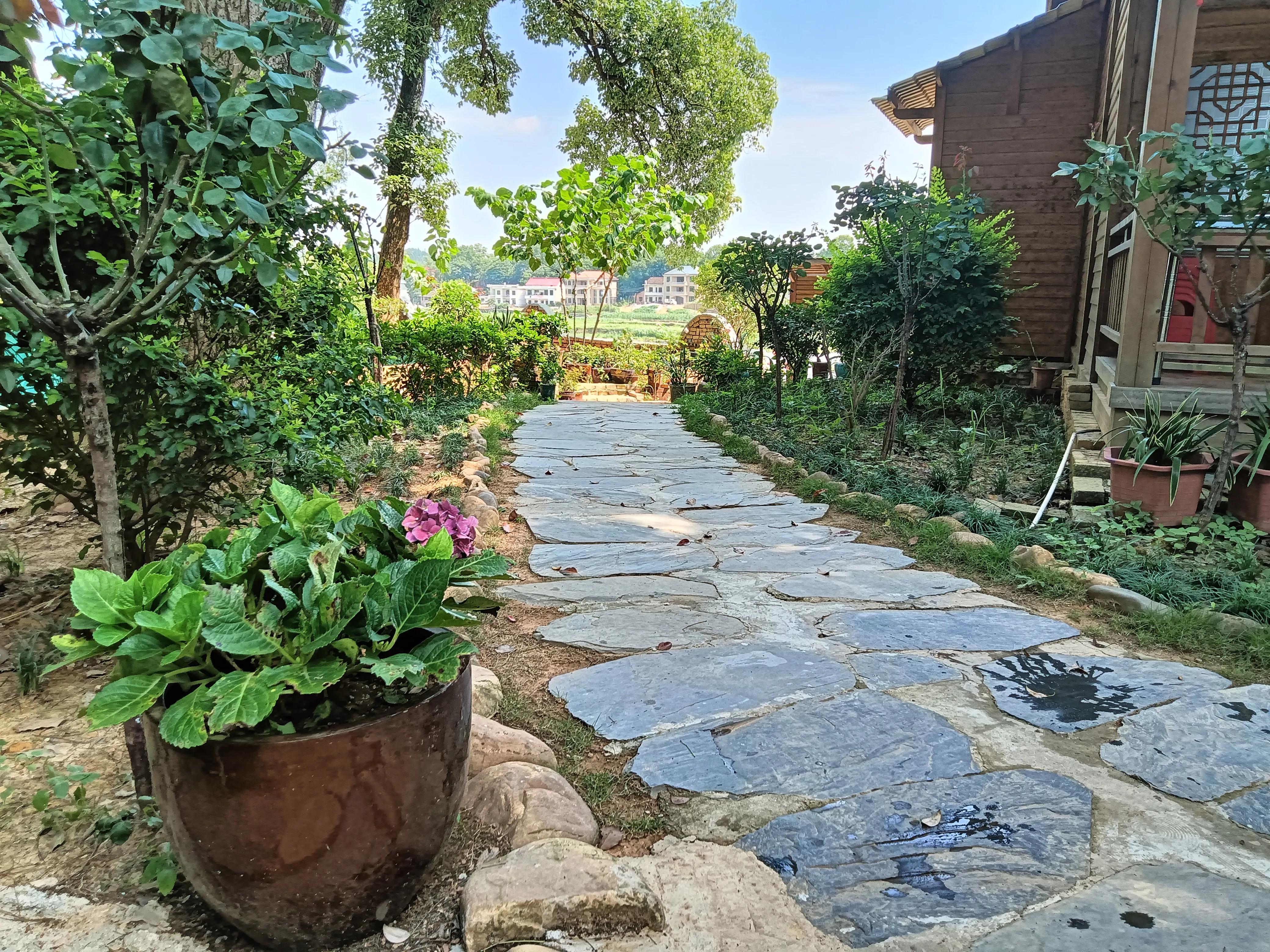 婚后偷偷补贴娘家三年,老公坚决离婚我拿钱补贴娘家