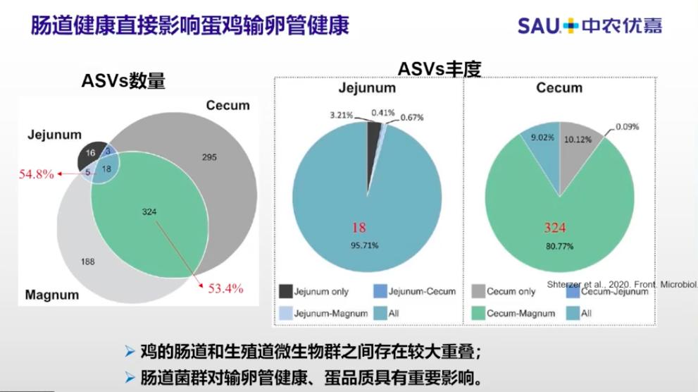 中农优嘉饲料好在哪方面,中农优嘉预混料质量怎么样