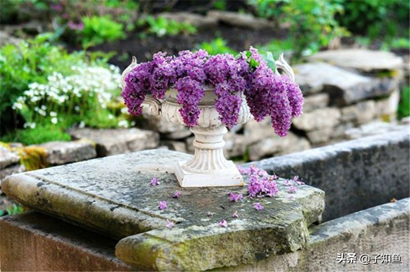 哪个星座容易产生依赖对象呢,越是冷落对你越依赖的五大星座