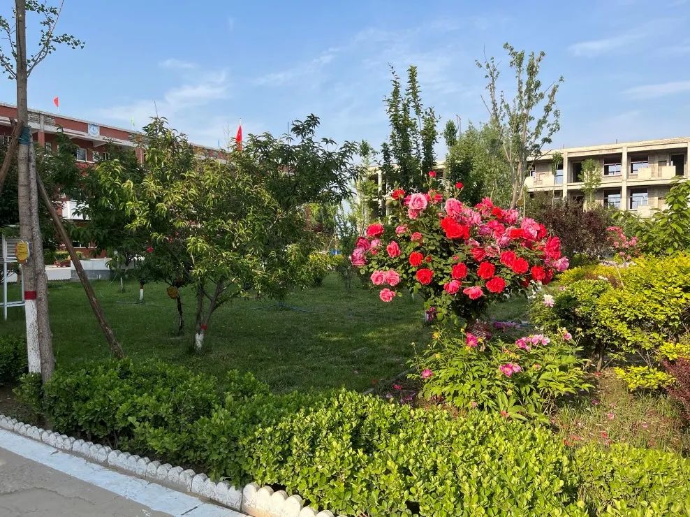 在这里，把孩子「赶」出游戏