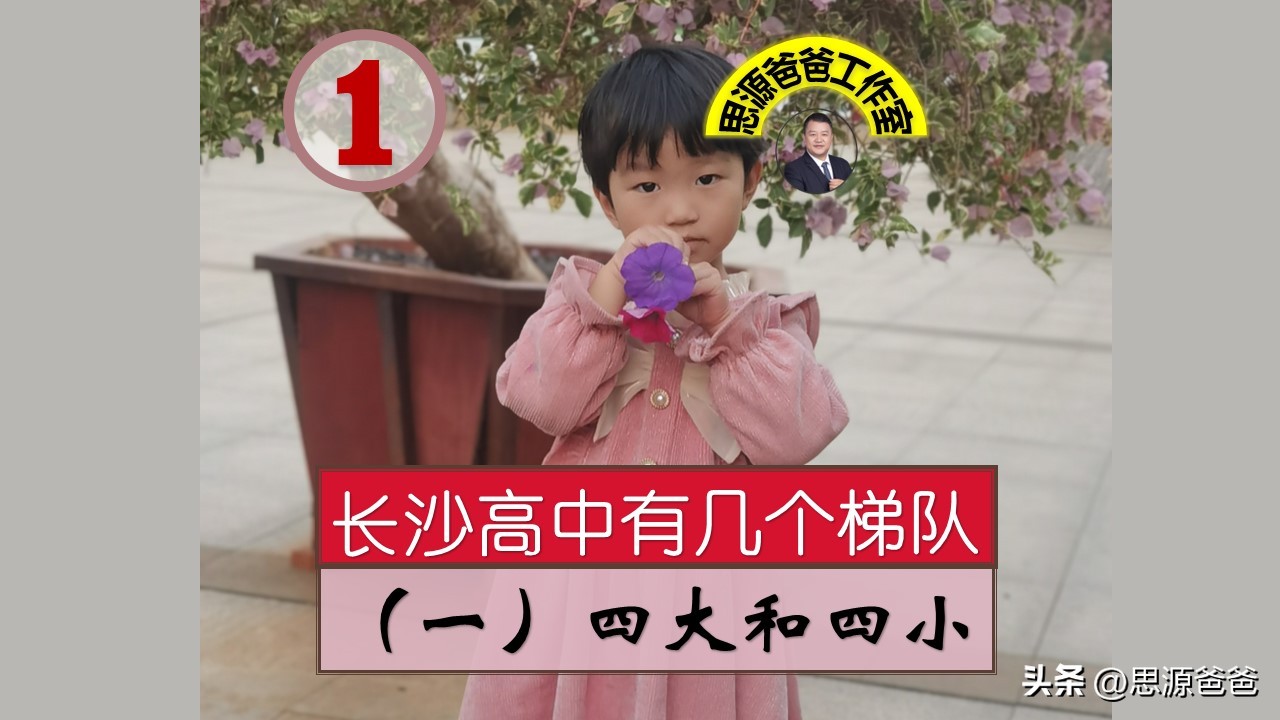 长沙高中四大名校分区吗,长沙高中四小五小指哪些学校