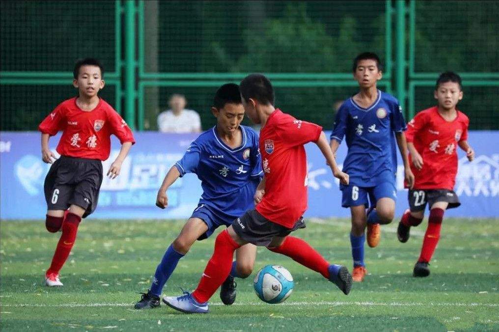 范志毅打足协怎么处理,范志毅谈德国队失利