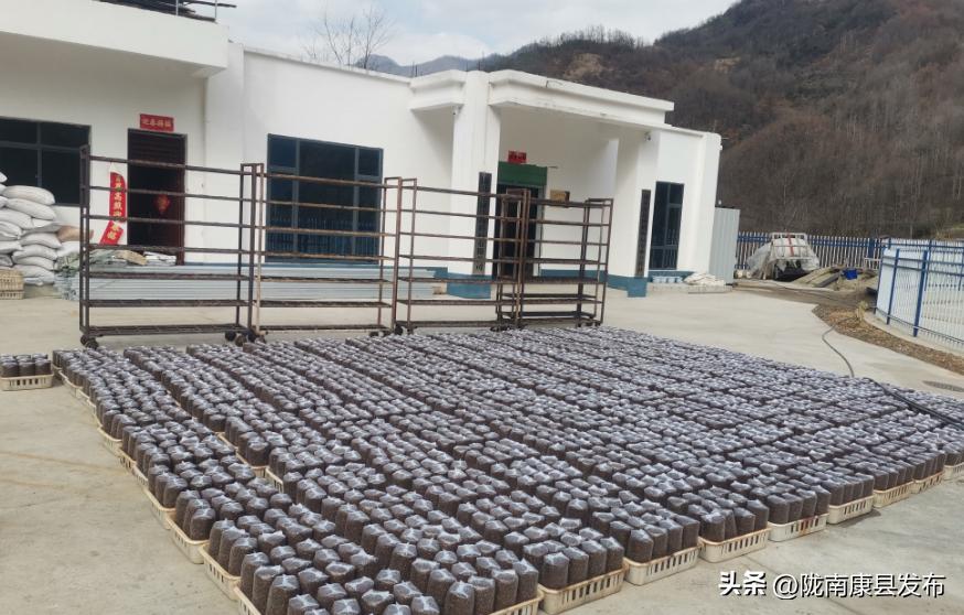 【身边榜样】（第4期）——三河坝镇县政协委员郭睿：乡村振兴路上的产业致富带头人