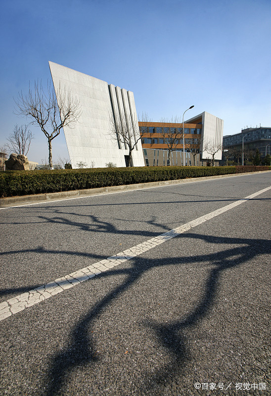 专科就业前景最好的十个专业,十大就业前景最好的专业专科