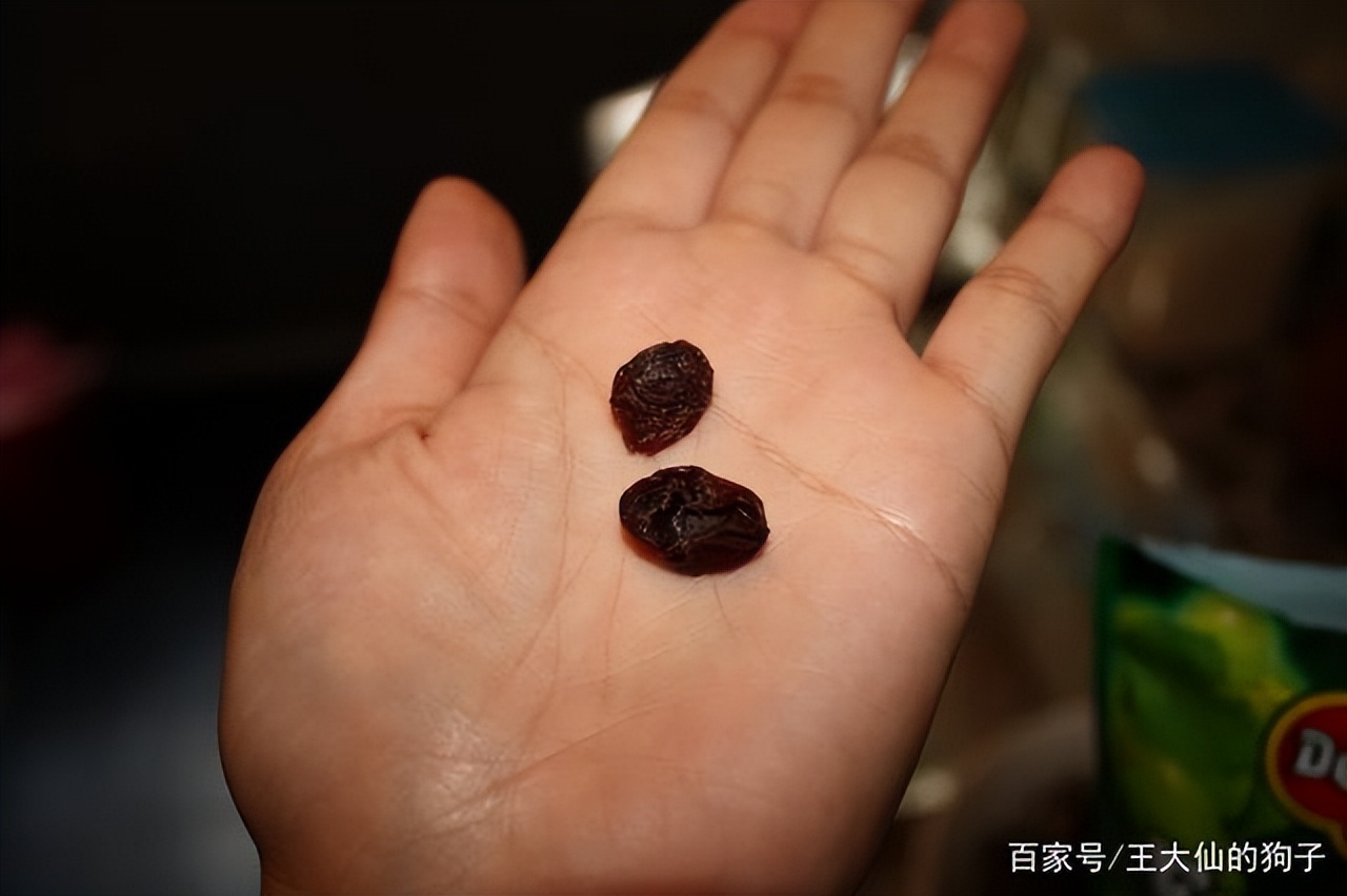 养龙猫的坏处哪些人不适合养龙猫,咋养龙猫