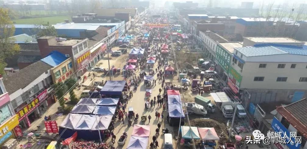 郸城这个镇路中间立匹马!繁荣景象,小妮来白马惊呆了