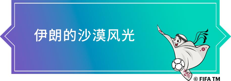 卡塔尔世界杯32强巡礼之埃及,卡塔尔世界杯32强巡礼