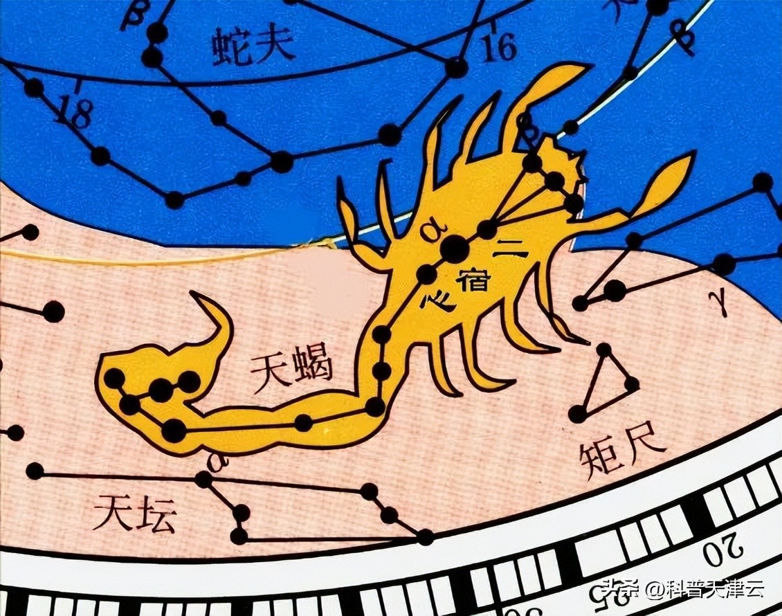 【科学向日葵】天文课堂|认识夏季星座（三十二）天蝎座