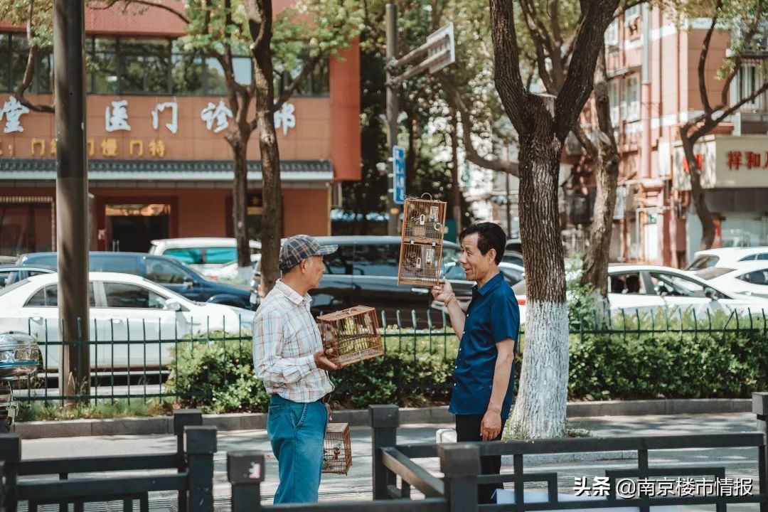 栖霞建设朝天宫项目开盘时间,栖霞建设朝天宫项目价格