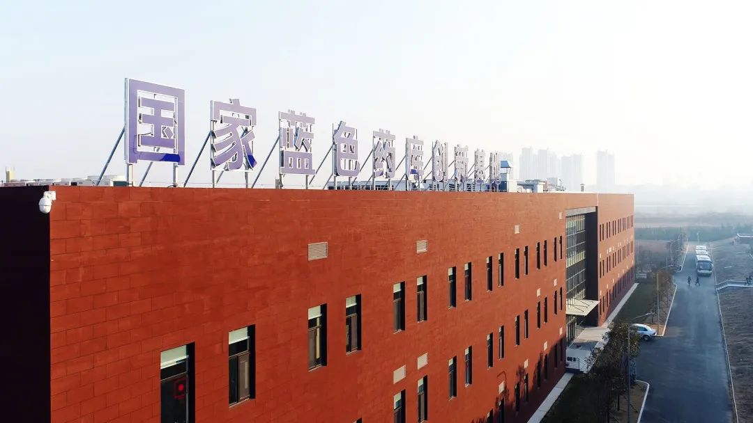 台港澳企业在青这十年|正大制药(青岛):“蓝色药库”打造海洋药物创新高地