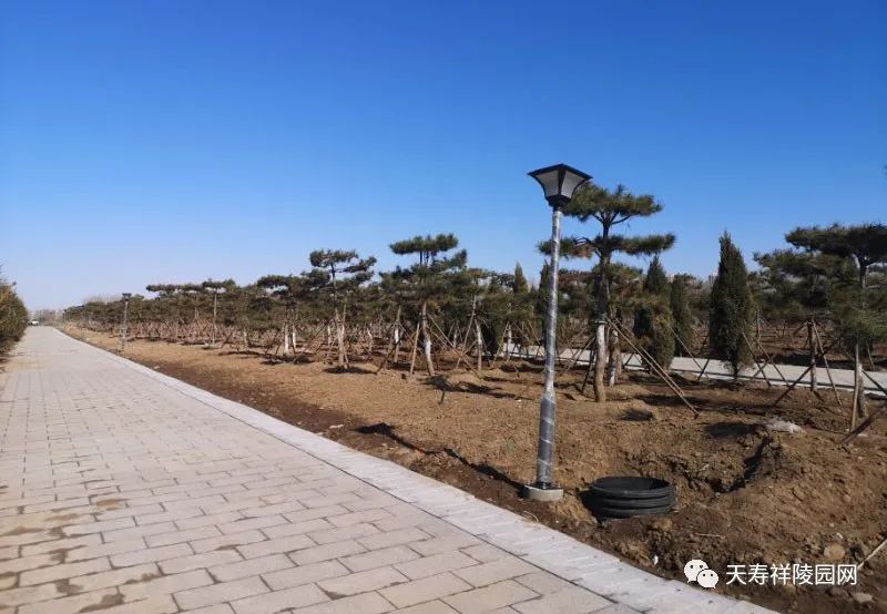 新兴的陵园景观设计,创新生态陵园效果图