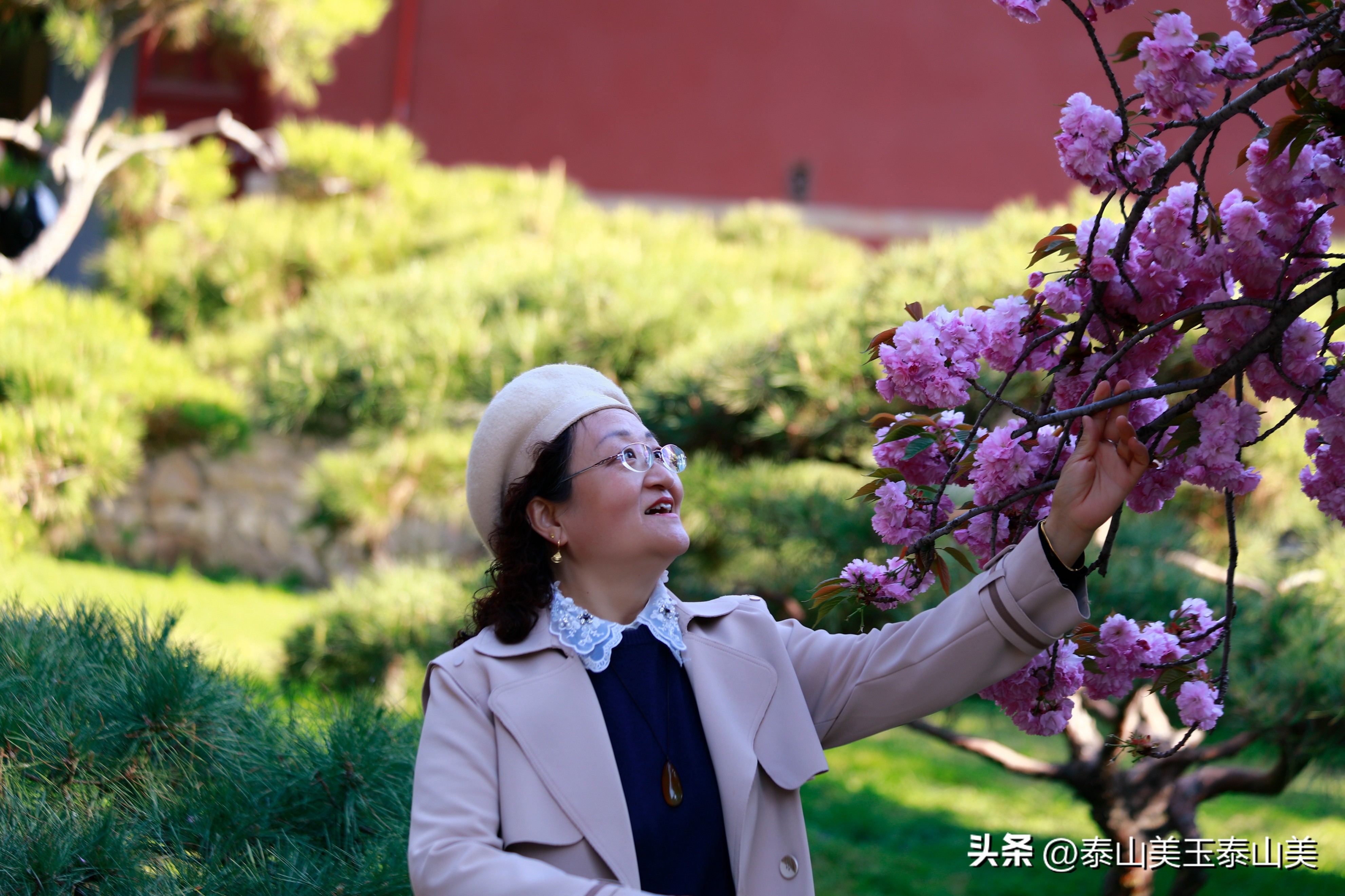 山亭寺沟樱花,定山溪樱花