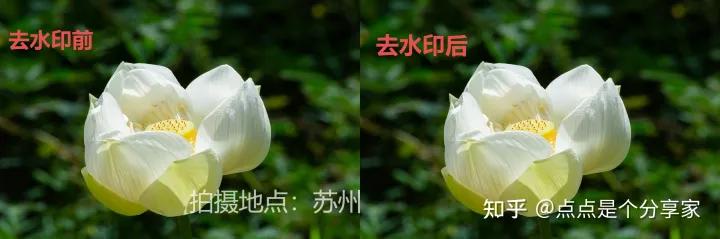 什么剪辑软件免费去视频水印,最简单的视频去水印方法免费软件