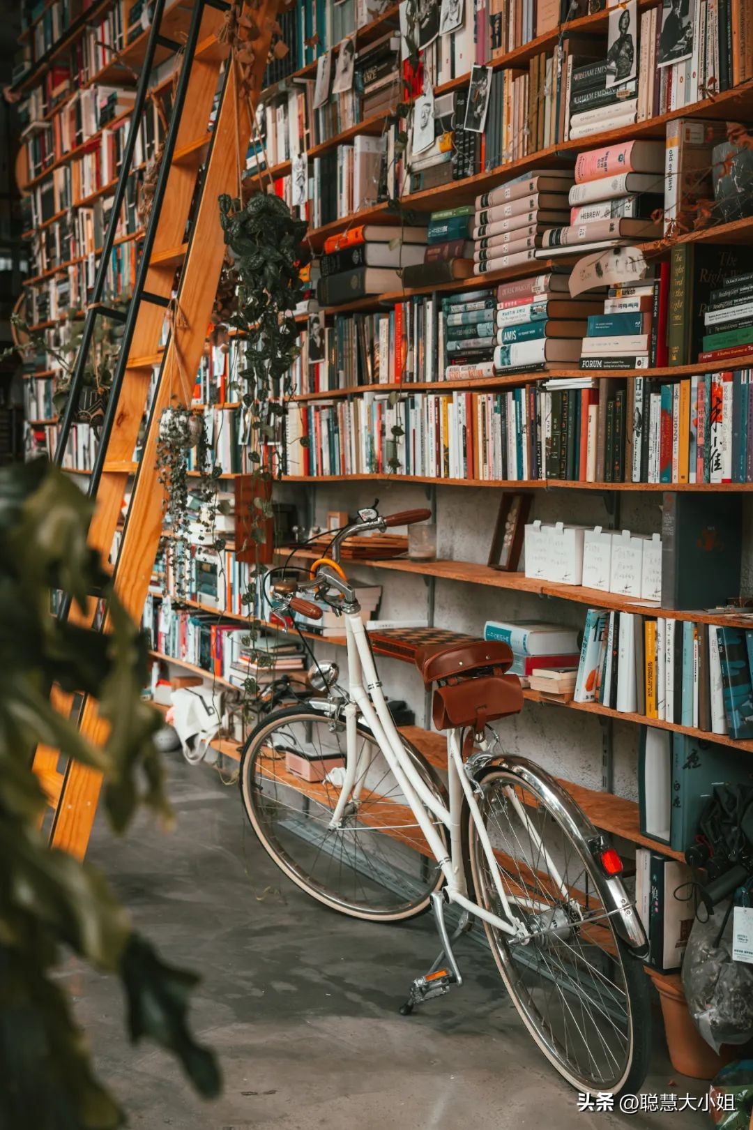 珠海被称为百岛之市浪漫之城,珠海百岛之城历史