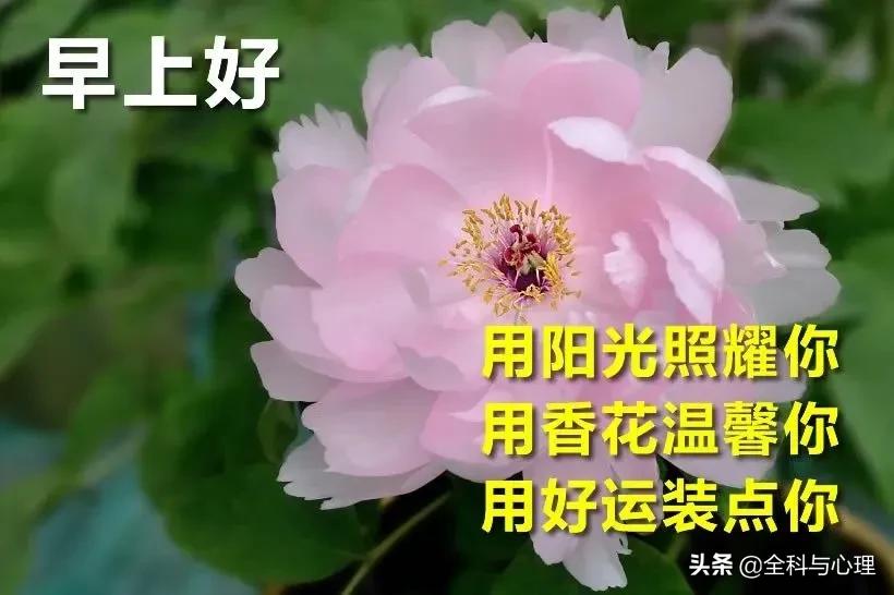 日久见人心时间是最好的沉淀,日久见人心才看得出真心