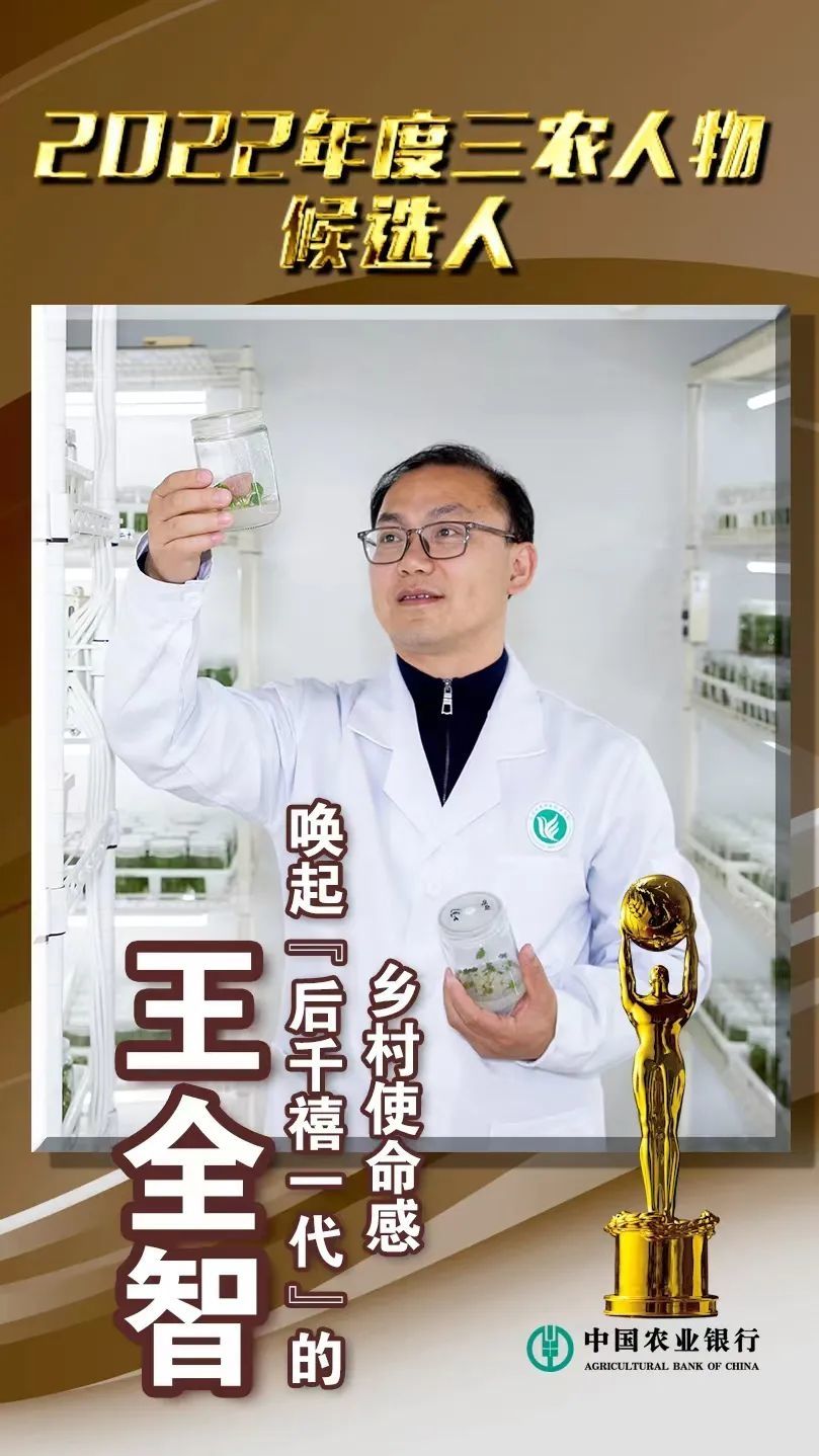 王全智：唤起“后千禧一代”的乡村使命感