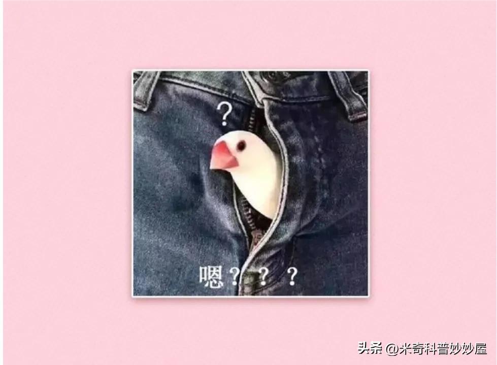 体力劳动能增强体质吗,体力劳动能提高身体素质吗