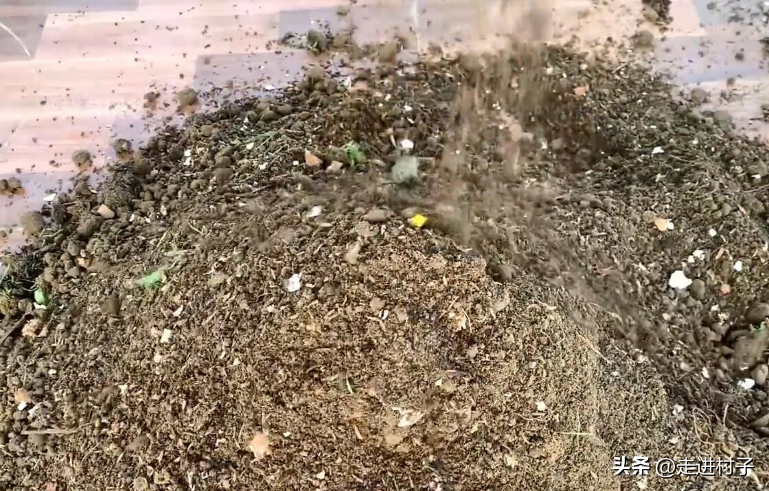 种菜营养土怎么制作,种菜营养土的做法