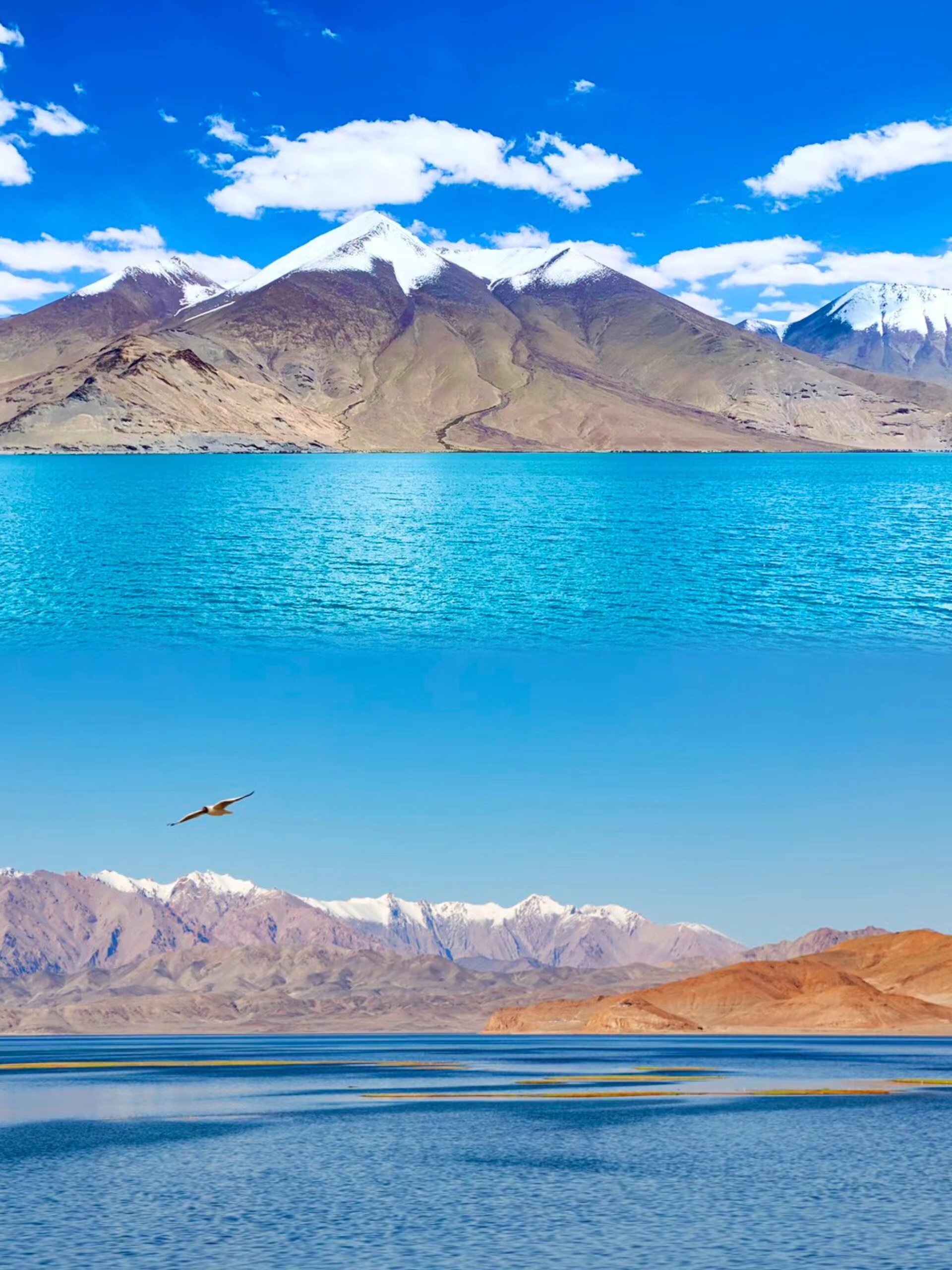 拉萨最优秀的旅行社,藏客行旅行社