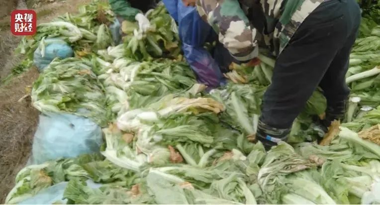 邓伦*税逃**，只是开始，更恶心的在后面