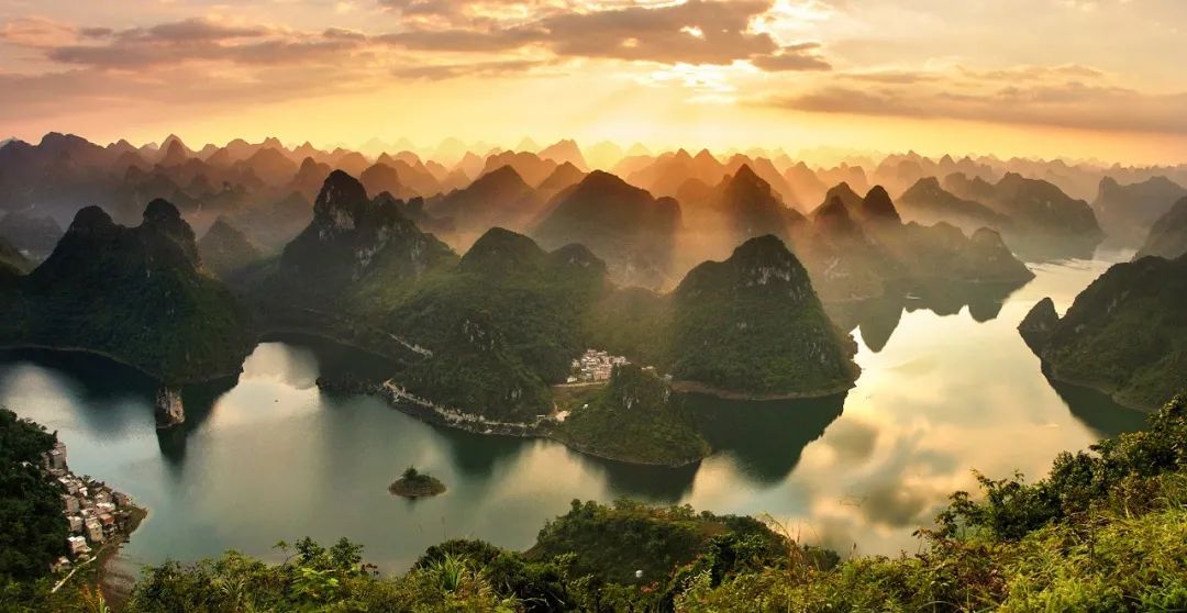 猫咪走太空步原视频最火,猫咪壁虎漫步视频