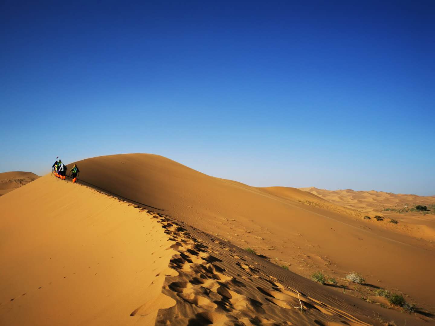 在沙漠里口渴去哪里喝水,去沙漠注意事项和禁忌
