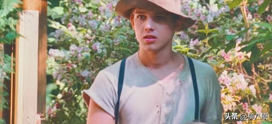 美国女孩的秘密电影观后感,电影美国女孩的秘密