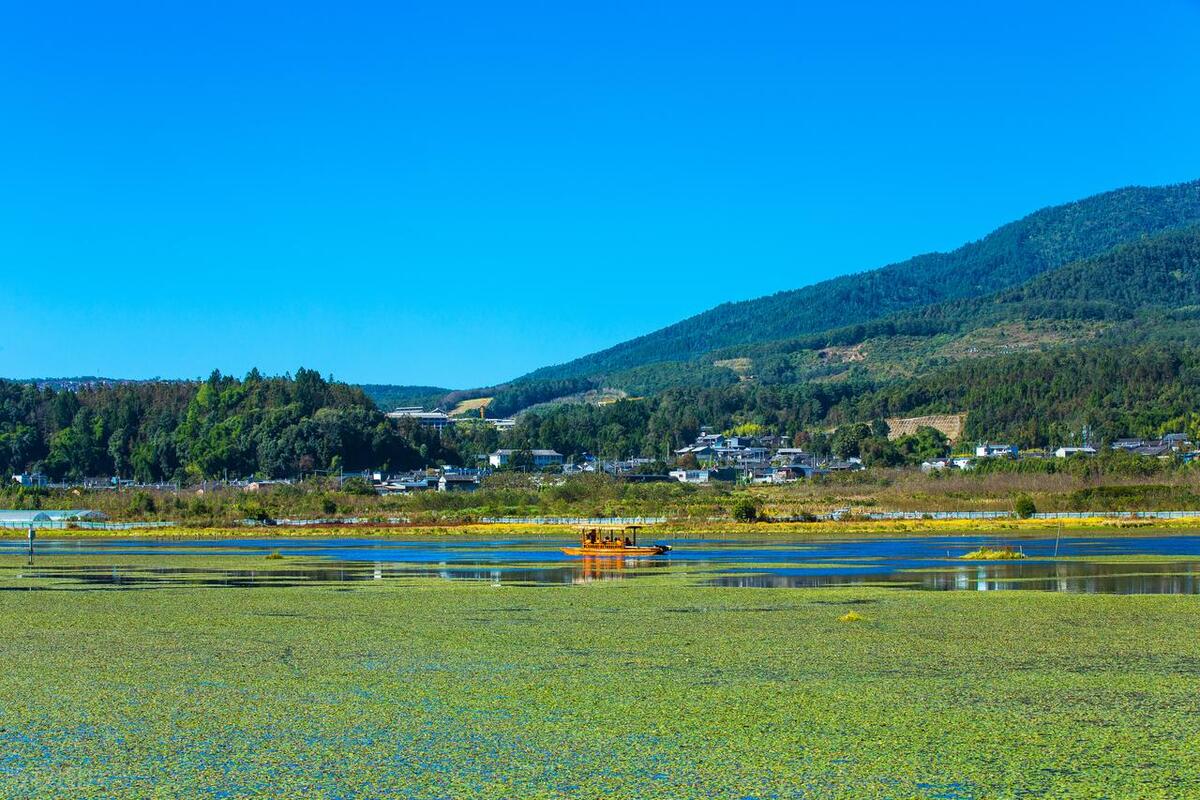 珠海九大湿地公园在哪里,神农架大九湖湿地公园