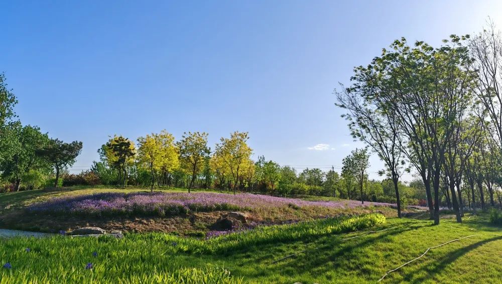南苑森林湿地公园信息,南苑森林湿地公园门票