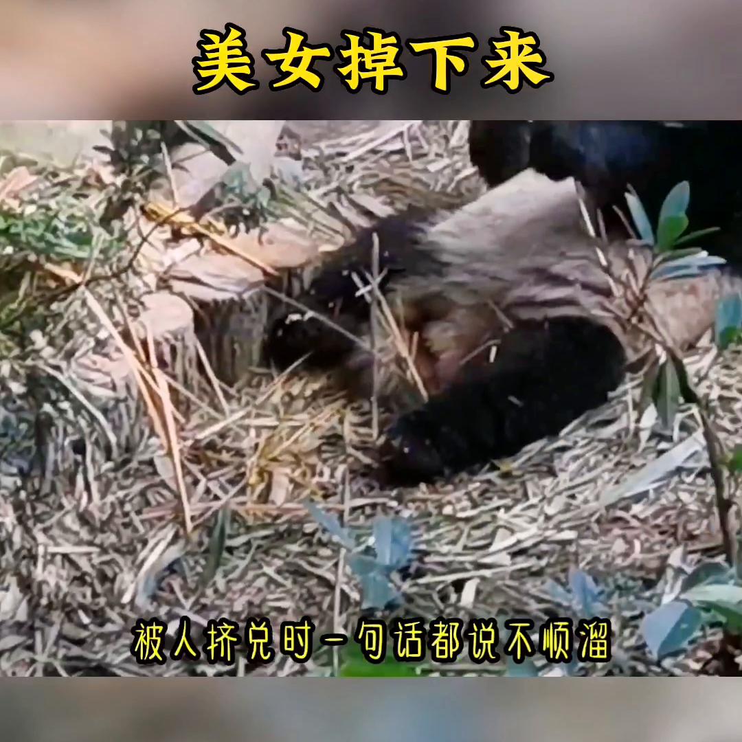 女主一觉醒来长出了猫耳朵和尾巴,美女掉下来摔在车顶后续