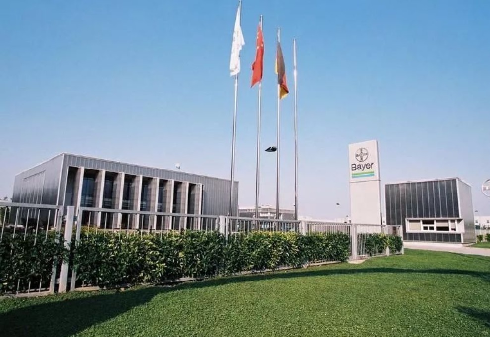 缃楁皬鍒惰嵂涓栫晫绗竴,缃楁皬鍥介檯鍒惰嵂宸ㄥご