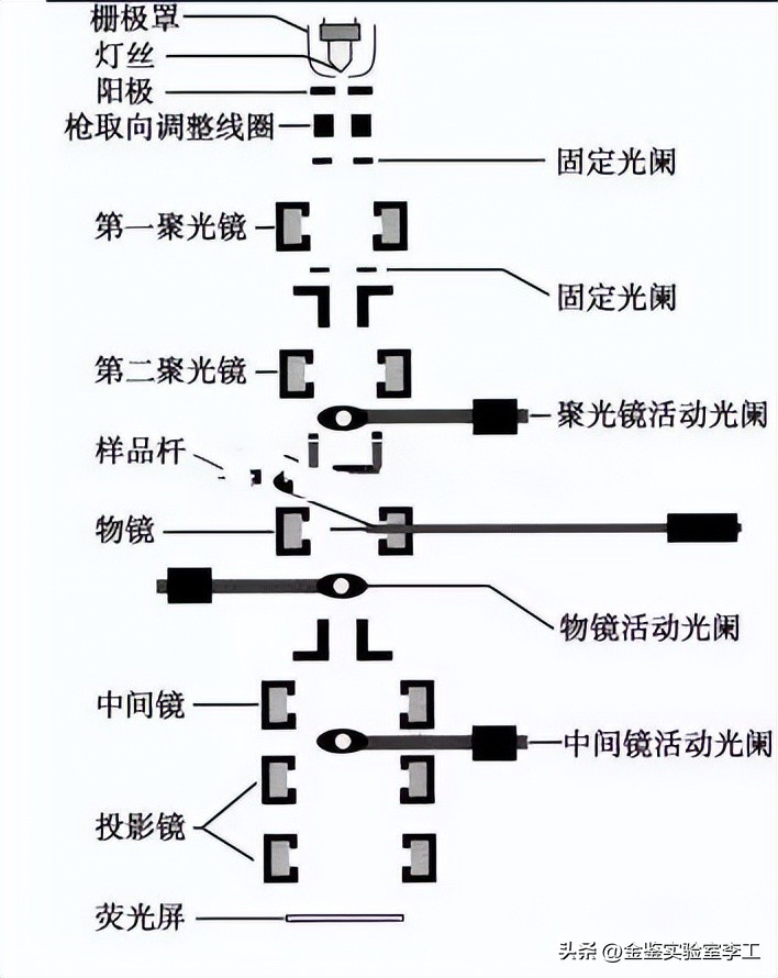 tem电子显微镜解析视频,透射电子显微镜tem操作步骤
